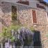 Borgo