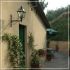Borgo