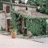 Fattoria Monsummano