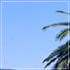 Residence Picchiaie - Portoferraio