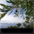 Farmhouse Grecale Castellina