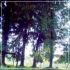 Villa Pieve Fosciana