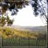B&B ancoradelchianti