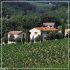 -Villa Prumiano :: Chianti holiday house in Tuscany
